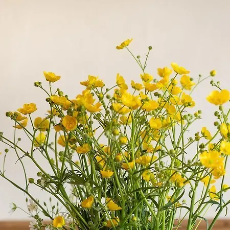 Hotel Café Del Maar Schalkenmehren