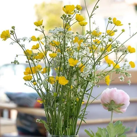 Ξενοδοχείο Cafe Del Maar