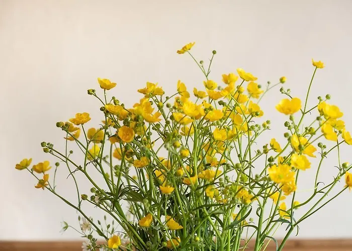 Szálloda Cafe Del Maar Schalkenmehren